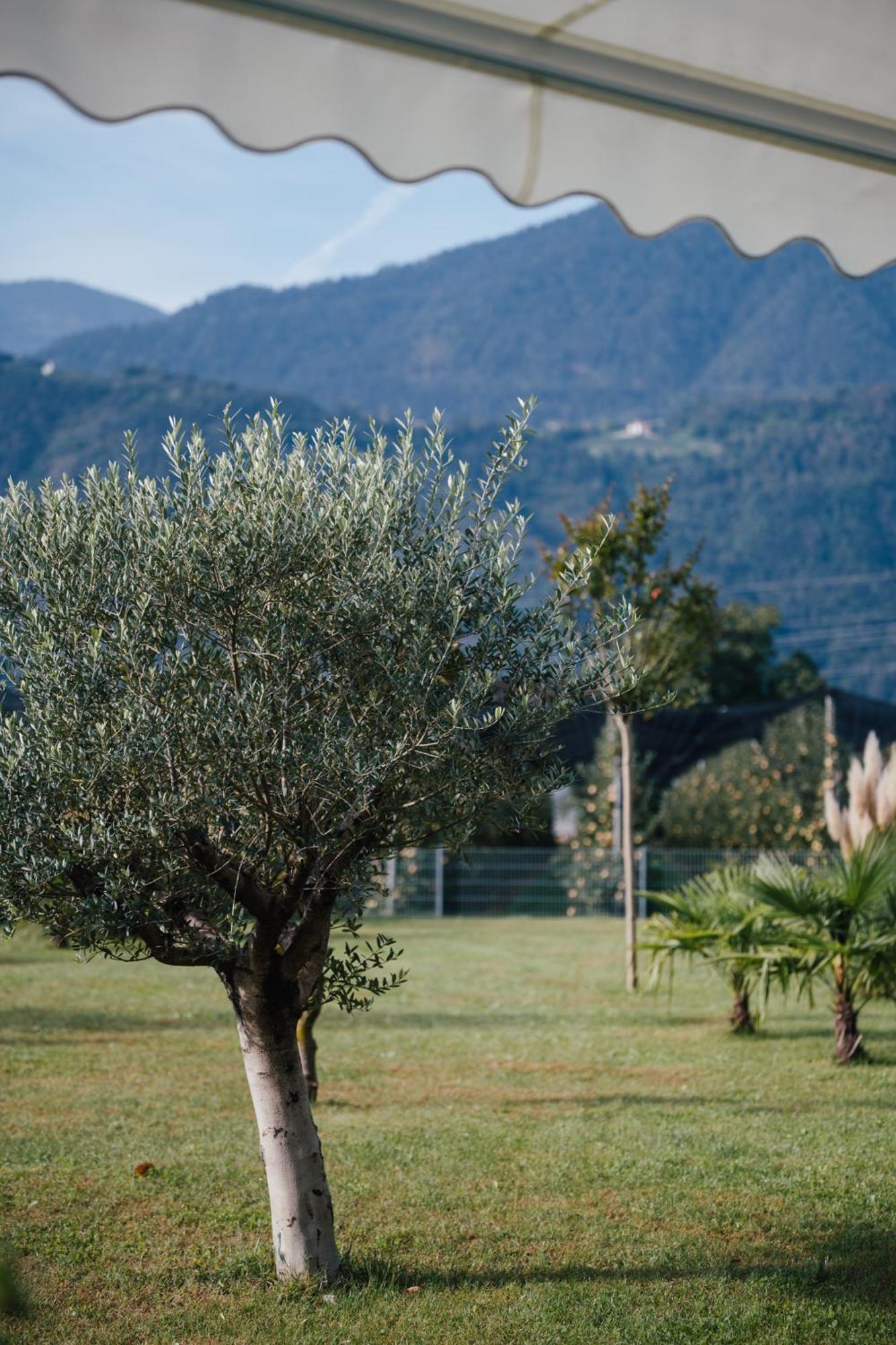 Garden Lodge Gargazon Buitenkant foto