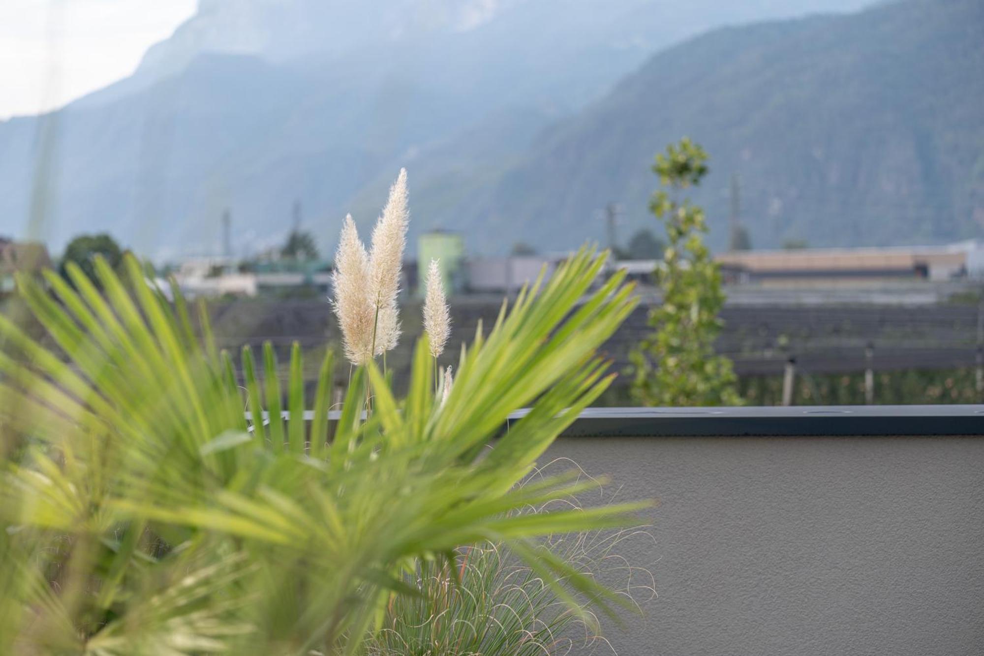 Garden Lodge Gargazon Buitenkant foto